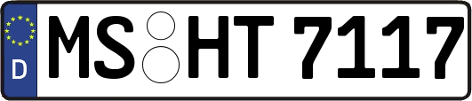 MS-HT7117
