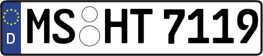 MS-HT7119