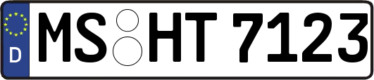 MS-HT7123