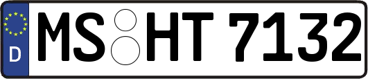 MS-HT7132