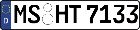 MS-HT7133