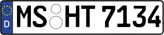 MS-HT7134