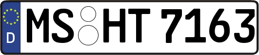 MS-HT7163