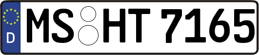 MS-HT7165