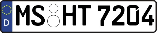 MS-HT7204