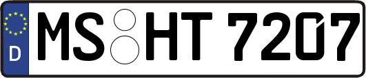 MS-HT7207