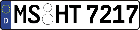 MS-HT7217