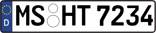 MS-HT7234