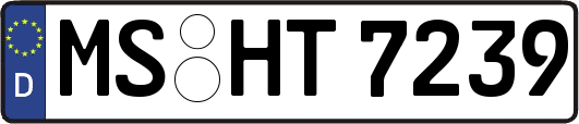 MS-HT7239