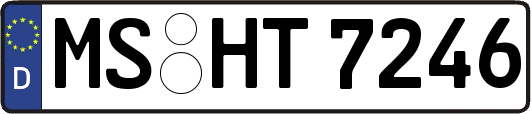 MS-HT7246