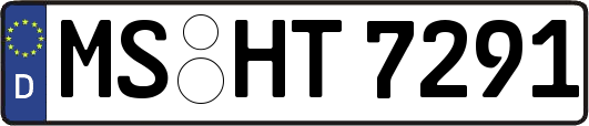 MS-HT7291