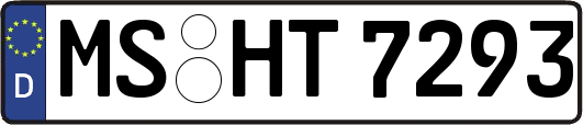 MS-HT7293