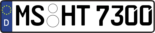 MS-HT7300