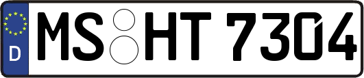 MS-HT7304