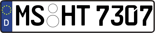 MS-HT7307