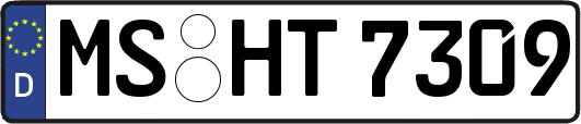 MS-HT7309