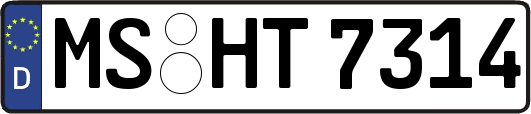 MS-HT7314