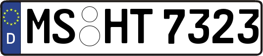 MS-HT7323