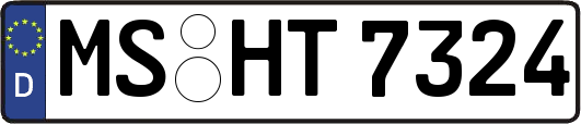 MS-HT7324