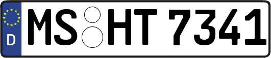 MS-HT7341