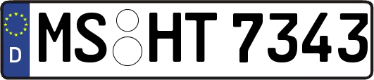 MS-HT7343