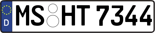MS-HT7344