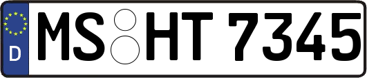 MS-HT7345