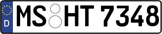 MS-HT7348