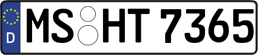 MS-HT7365