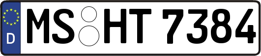 MS-HT7384