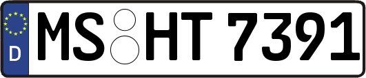 MS-HT7391