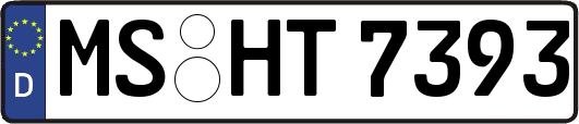 MS-HT7393