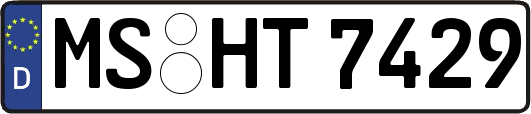 MS-HT7429