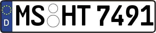 MS-HT7491