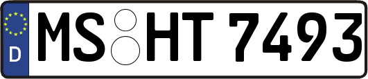 MS-HT7493