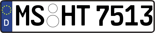 MS-HT7513