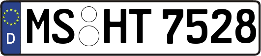 MS-HT7528