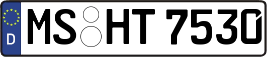 MS-HT7530