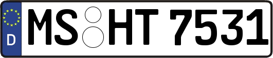 MS-HT7531