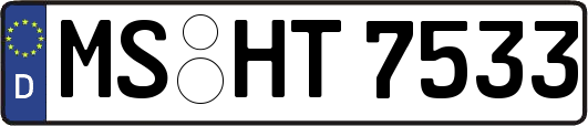 MS-HT7533