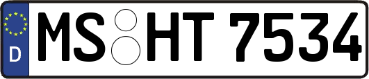 MS-HT7534