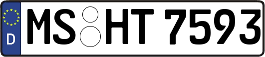 MS-HT7593