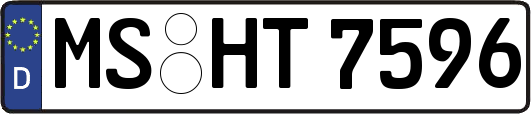 MS-HT7596