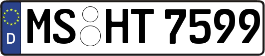 MS-HT7599