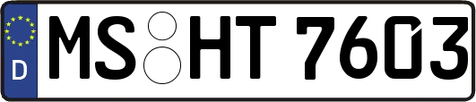 MS-HT7603
