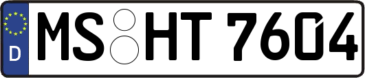 MS-HT7604