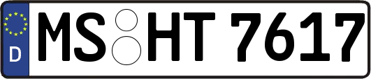 MS-HT7617