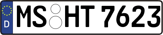 MS-HT7623