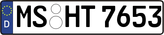 MS-HT7653