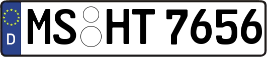MS-HT7656